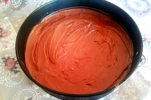 Cheesecake alla nutella senza cottura 2