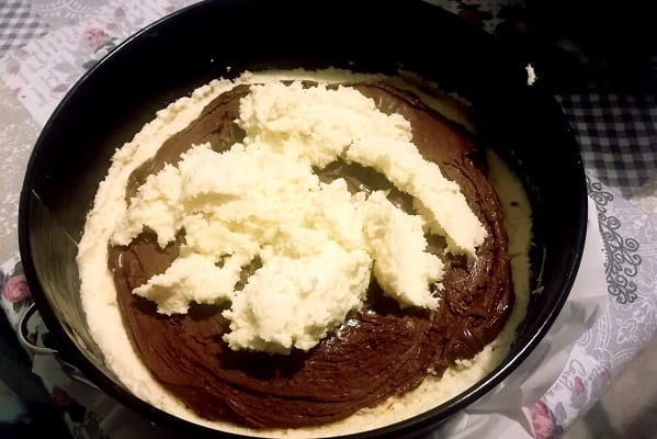 Torta veloce cocco e nutella 2