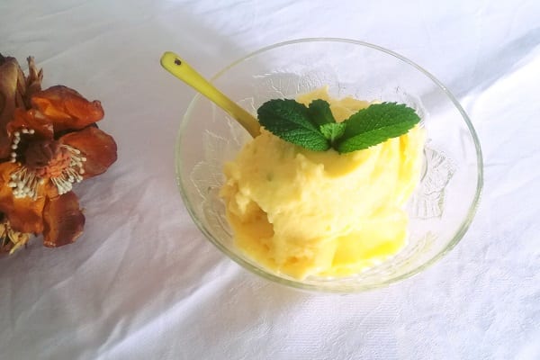 Gelato al mango light Bimby 3