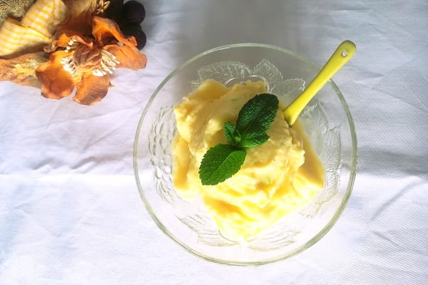 Gelato al mango light Bimby 2