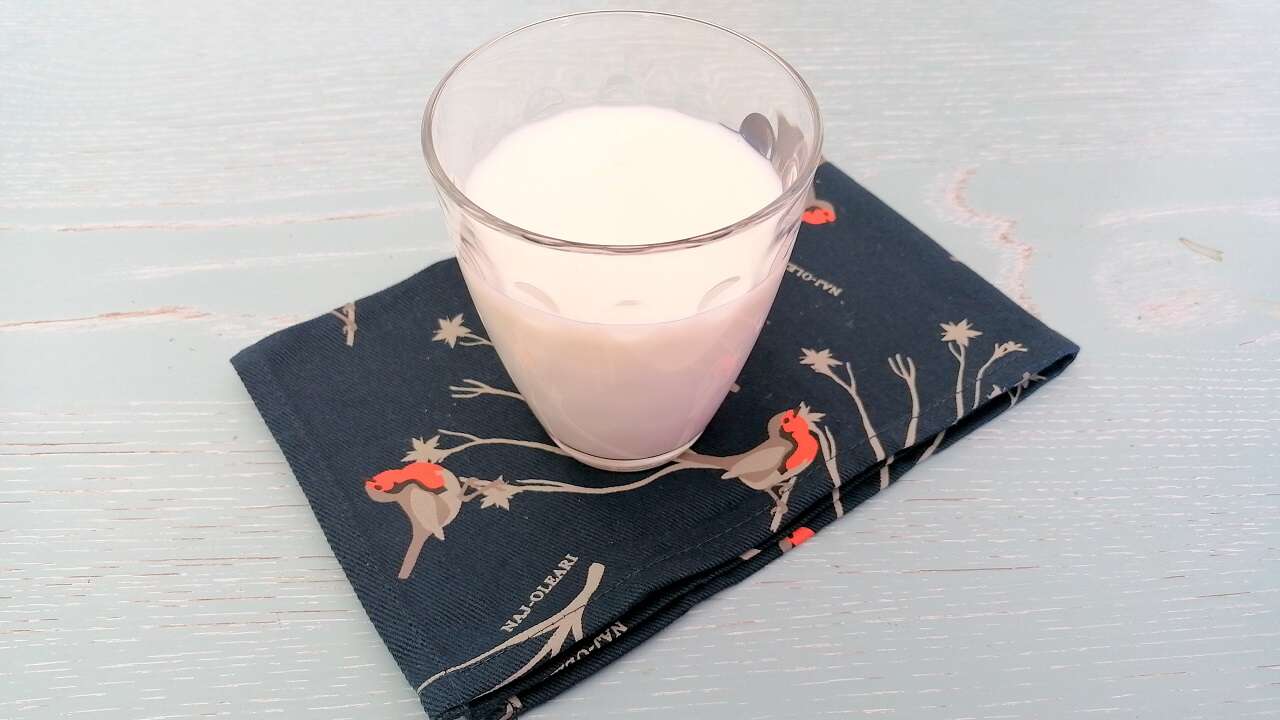 Come sostituire il latte: le alternative anche senza lattosio