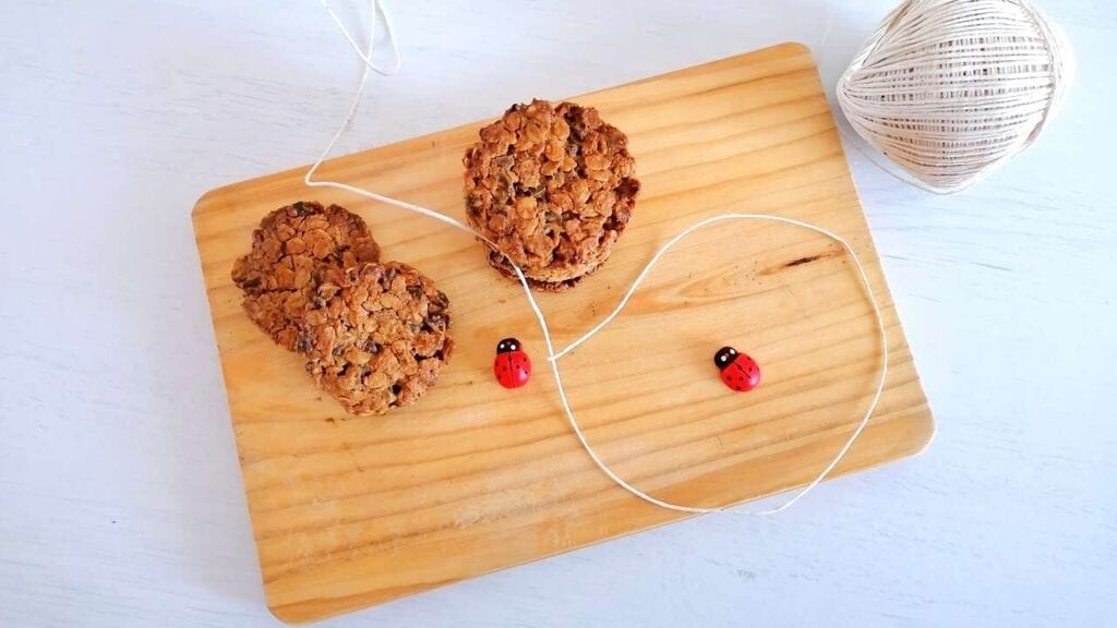 Biscotti avena e burro di arachidi