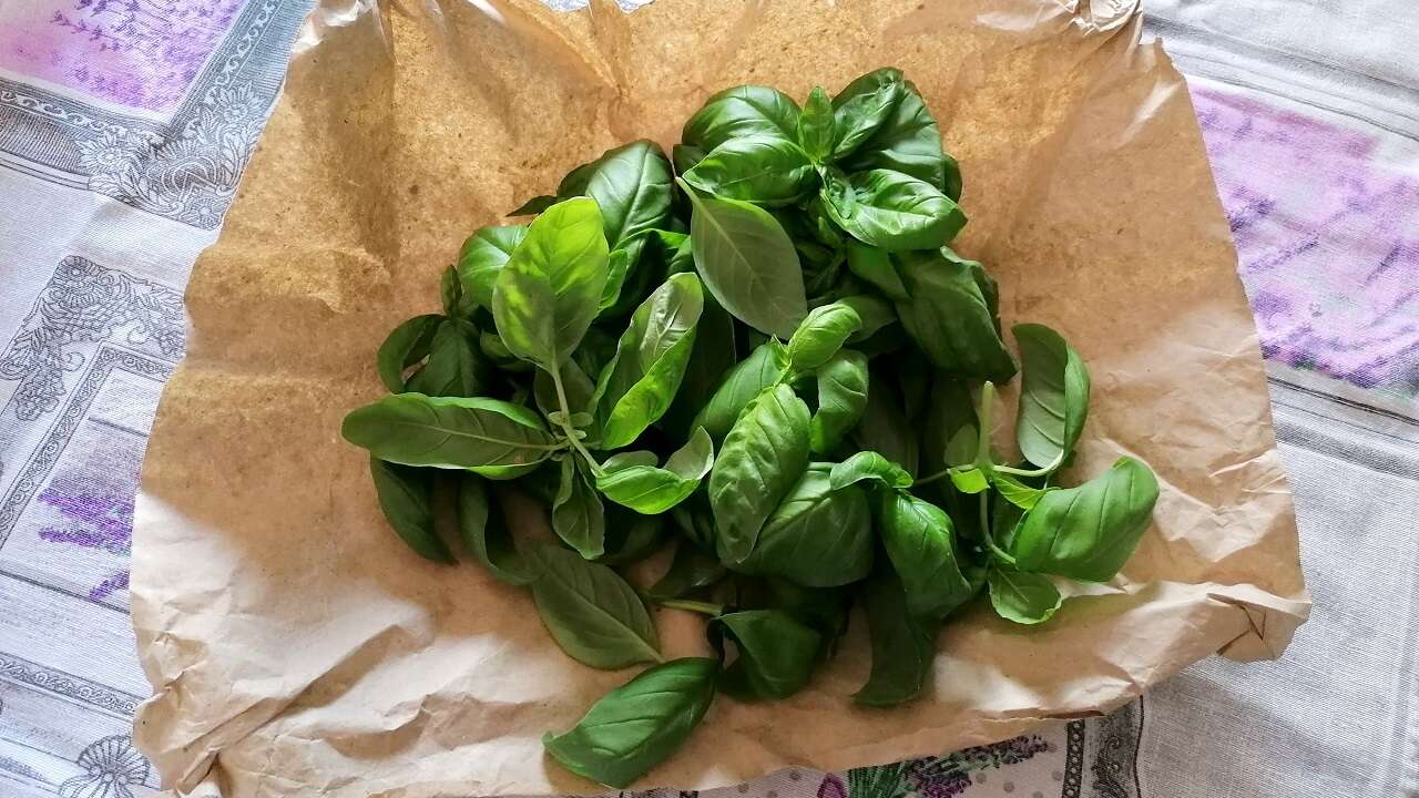 Pesto alla genovese 1