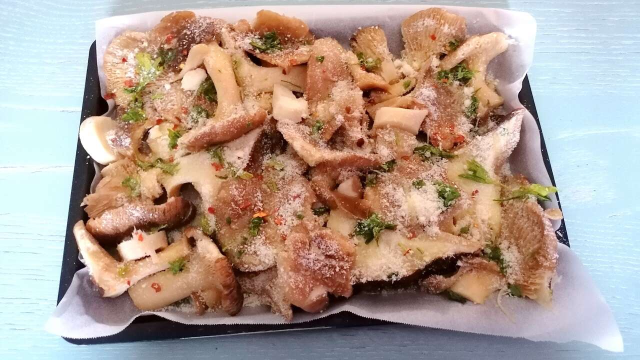 Funghi pleurotus al forno 1