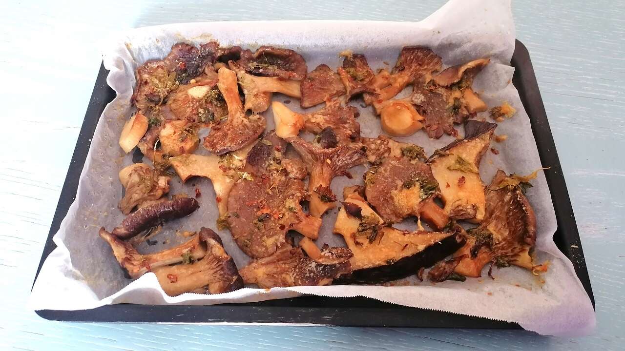 Funghi pleurotus al forno 2