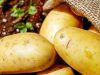 Come conservare le patate, per farle durare a lungo