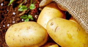 Come conservare le patate, per farle durare a lungo Come conservare le patate, per farle durare a lungo