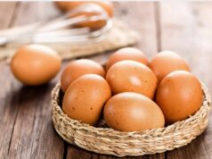 Pastorizzazione Uova: Il Metodo Infallibile dello Chef per Dolci e Maionese (100% Sicuro) uova