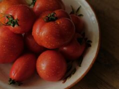 Gli afidi stanno divorando i tuoi pomodori? Questo spray fatto in casa li elimina in 24 ore (senza un grammo di pesticidi) pomodori