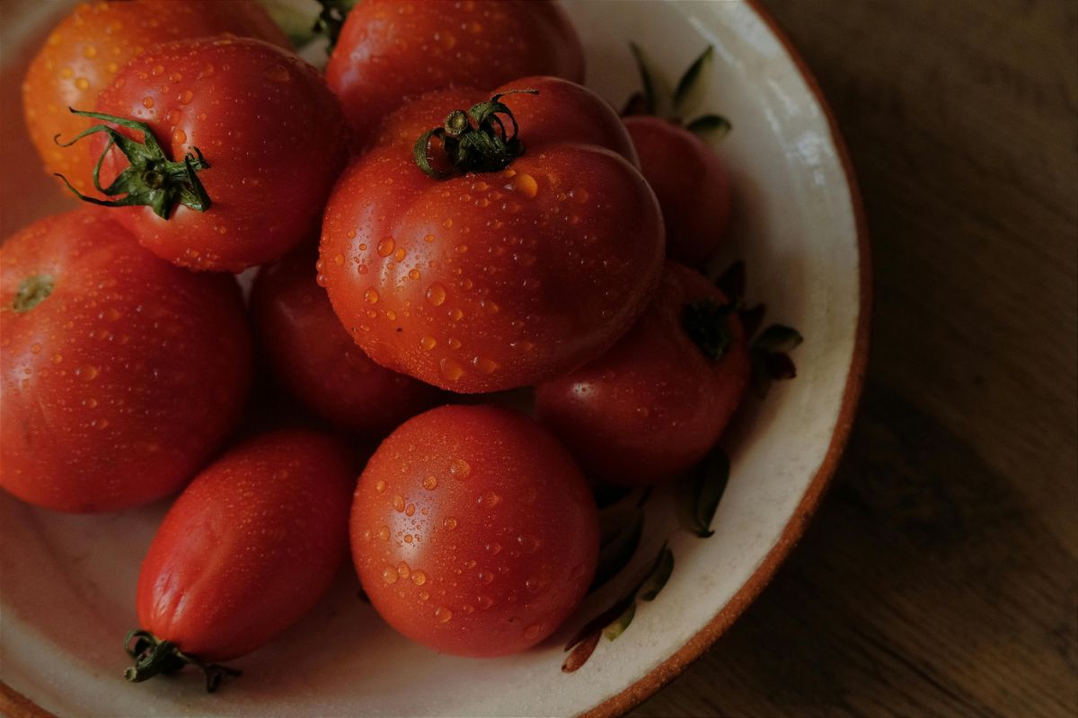 afidi pomodori come eliminarli pomodori