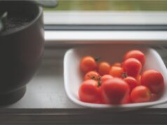 Come conservare i pomodori freschi una settimana senza frigo: il metodo della nonna che salva sapore e consistenza casa pomodori