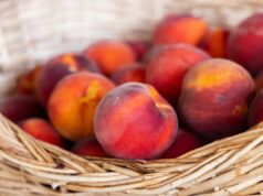Il Trucco della Carta Assorbente per Conservare le Pesche Fresche 10 Giorni Senza Muffa (Lo Usano i Fruttivendoli) pesche casa