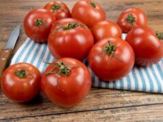 Come conservare i pomodori freschi 2 settimane senza frigo: il trucco della scatola di cartone cucina pomodori