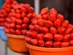 Il trucco dell’aceto bianco che conserva le fragole fresche per 10 giorni senza muffa fragole fresche
