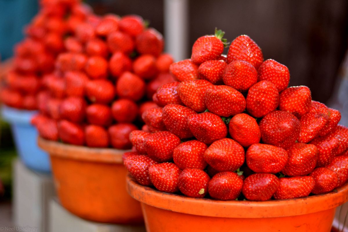 fragole fresche metodo conservazione fragole fresche