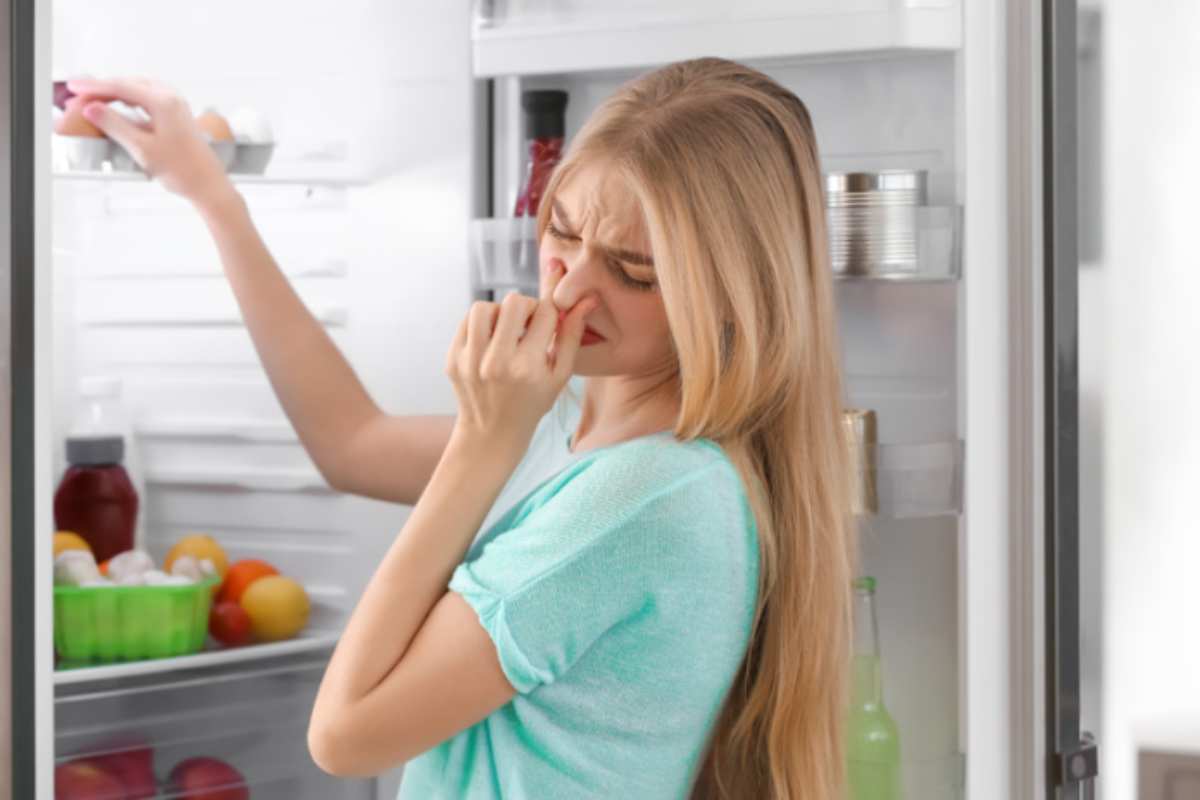 frigorifero puzza rimedio con il caldo frigorifero puzza