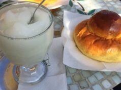 Granita siciliana senza zucchero con stevia: la ricetta cremosa di Catania che non cristallizza (4 ingredienti + mantecatura ogni 30 minuti) granita con stevia