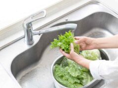Come lavare l’insalata senza centrifuga: il trucco in 30 secondi che ha cambiato le mie estati lavsre insalata