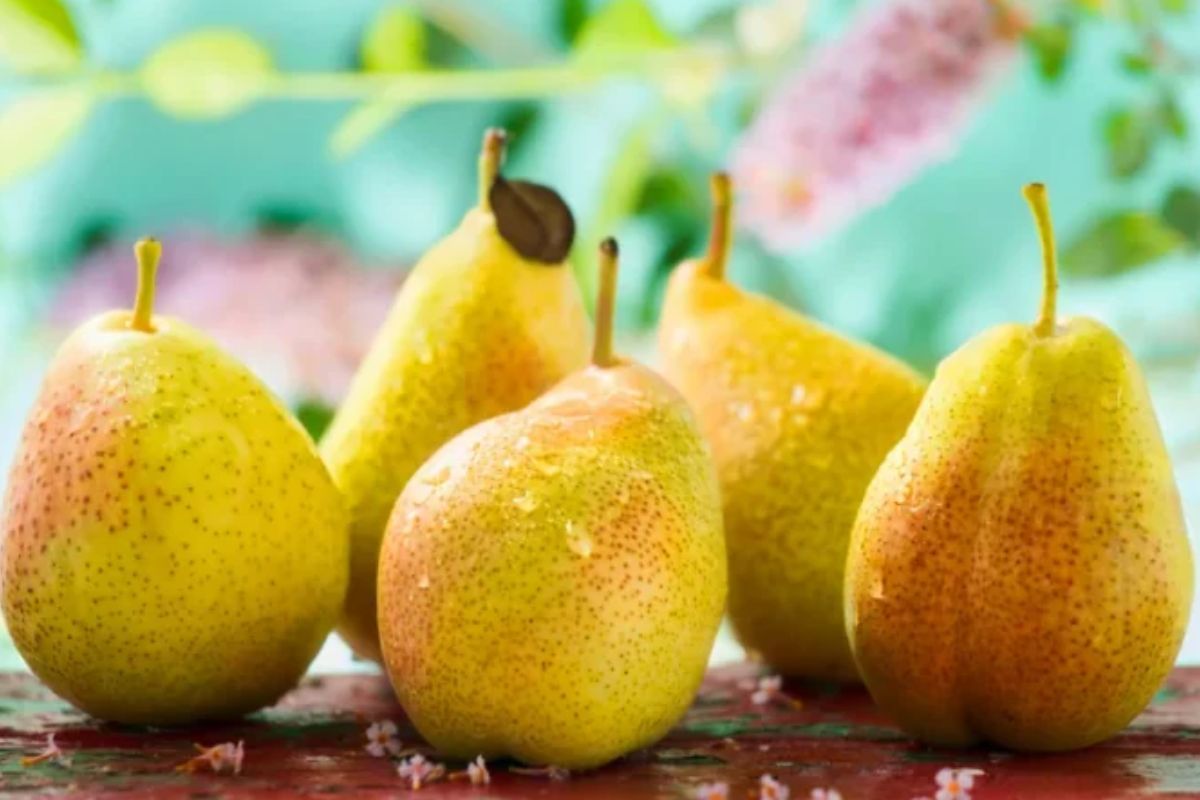 cucina pere conservazione cucina pere
