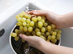 Lavare l’uva in 2 minuti senza residui: il trucco dell’acqua che usano i ristoratori lavare uva