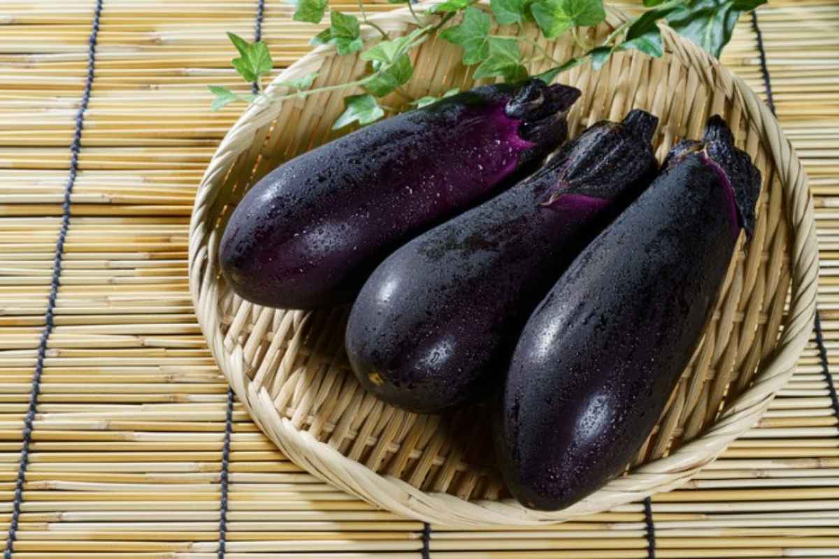 melanzane trucco per non farle avvenire melanzane