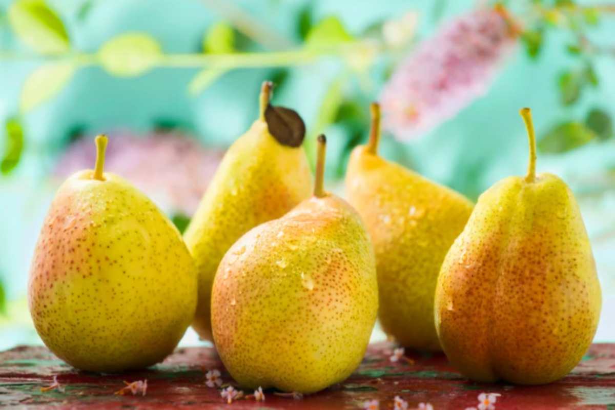 pere mature come conservarle senza frigorifero pere mature