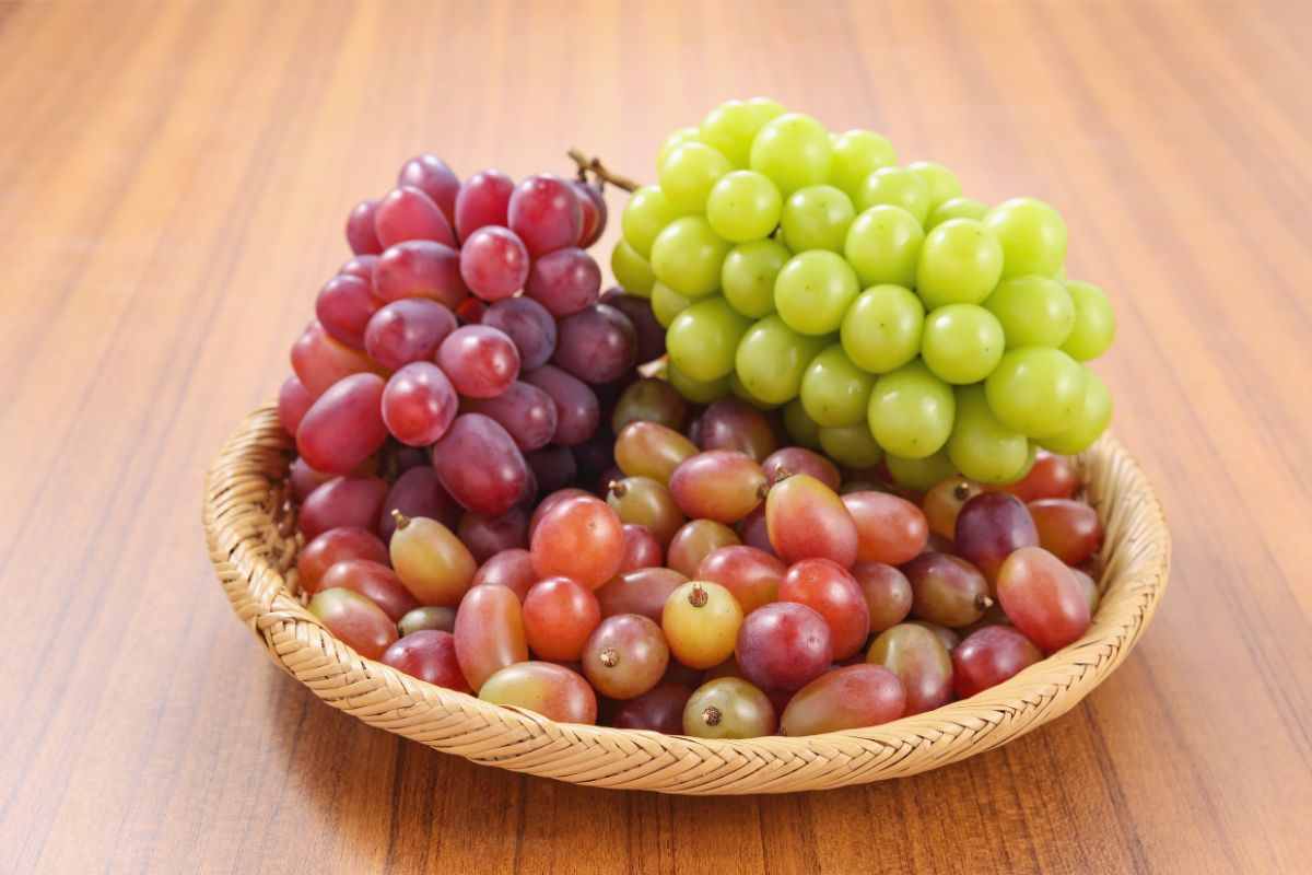 uva fresca come conservare senza muffa uva fresca