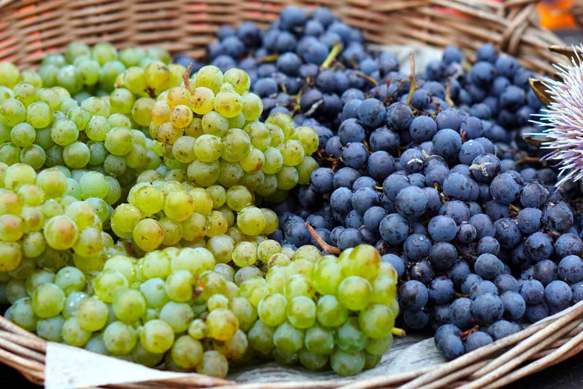 uva fresca conservarla trucco fruttivendoli uva fresca