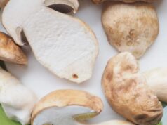 L’errore che rovina i funghi porcini freschi (e il trucco in 30 secondi che usano i cercatori) funghi porcini