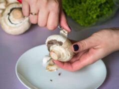 Come congelare i funghi porcini crudi per 6 mesi: il metodo che nei ristoranti stellati non saltano mai pulizia funghi